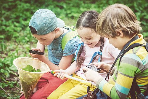 Zwei Schüler und eine Schülerin der Montessori Schule Biberkor untersuchen Blätter